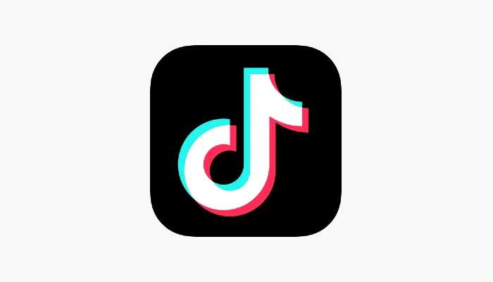 TikTok video download online