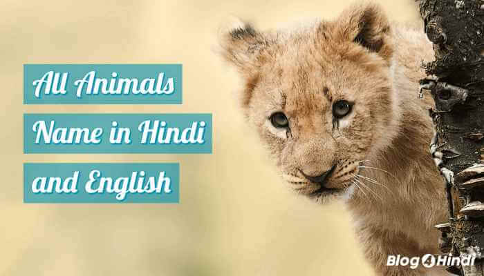 Animals name in hindi and english