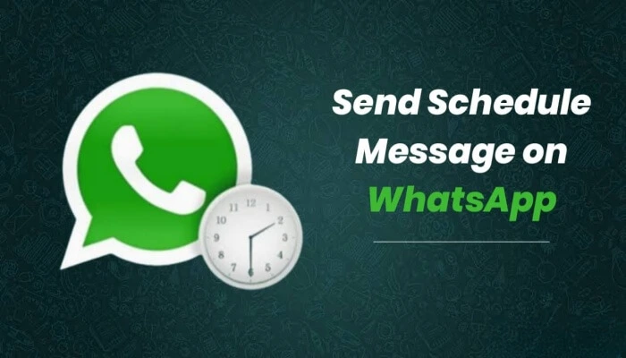 How to send a schedule message on WhatsApp?