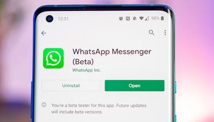 WhatsApp beta version download